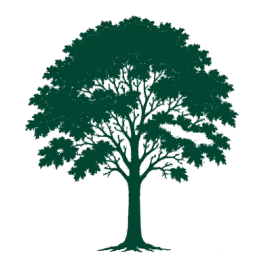 The Wool Wire | October 10, 2025