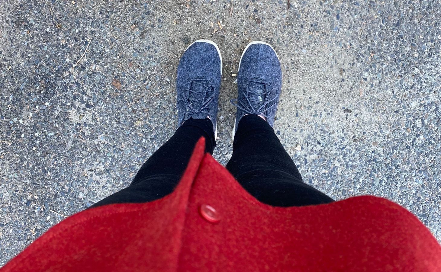 🐑 Hello, A Survey, and Our Next Flock Talk 🐑