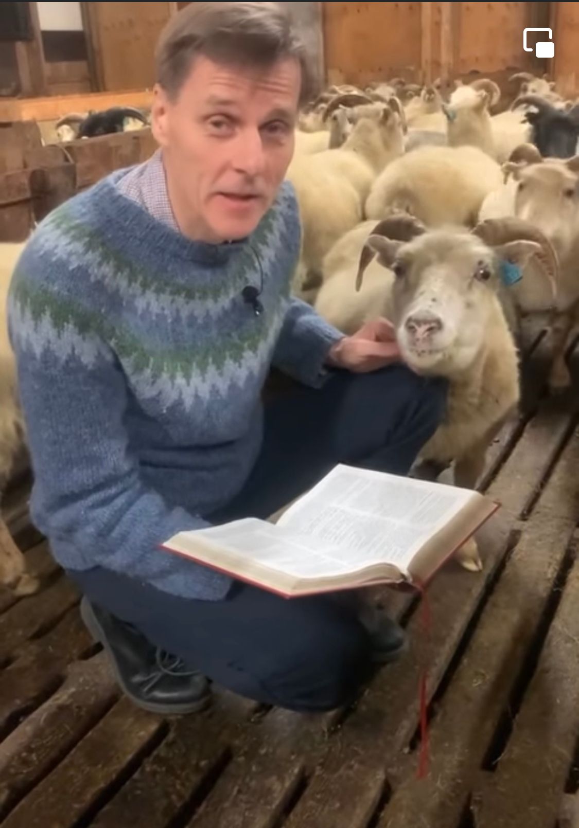 Flocks and Fibs