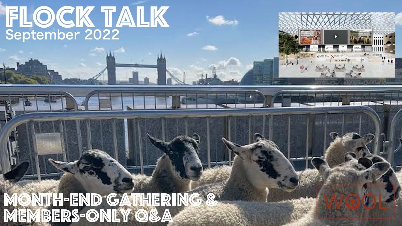 🐑 Join me in One Hour! 🐑