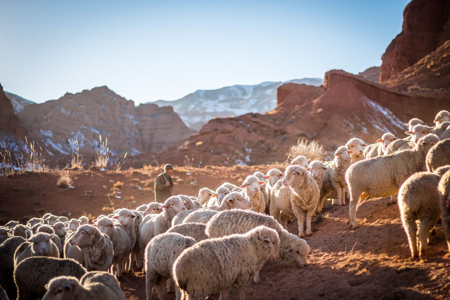 The Wool Wire | February 22, 2023