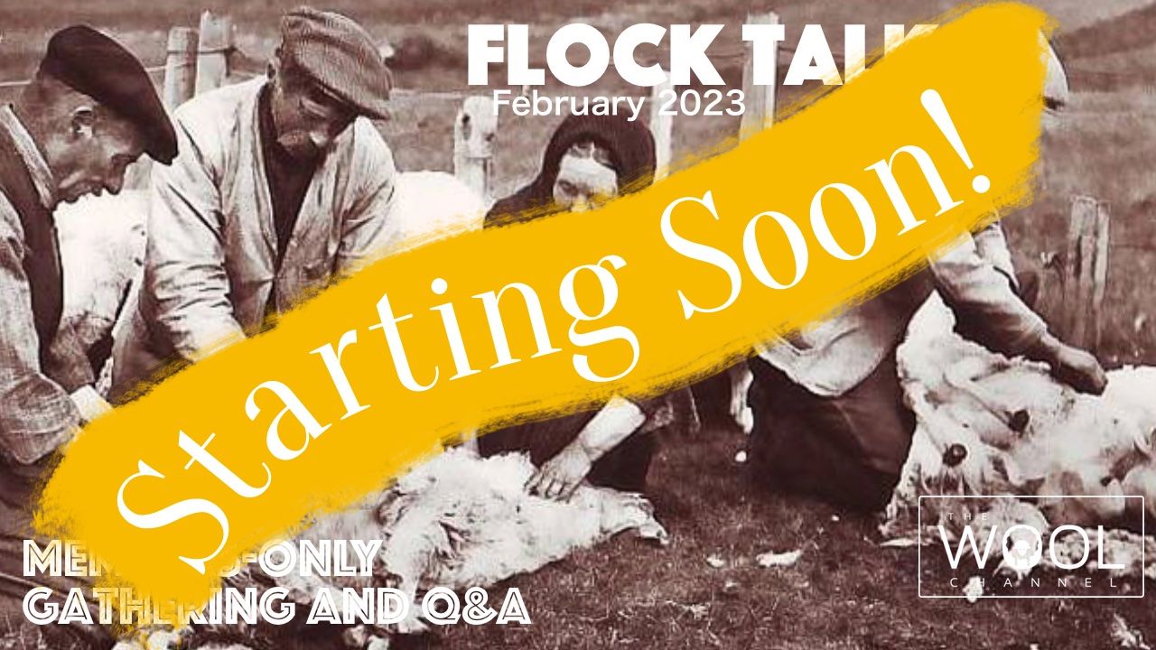 Flock Talk Starts in One Hour!