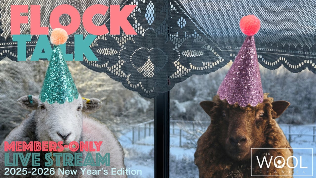 Our next Flock Talk, and a quick year-end survey!