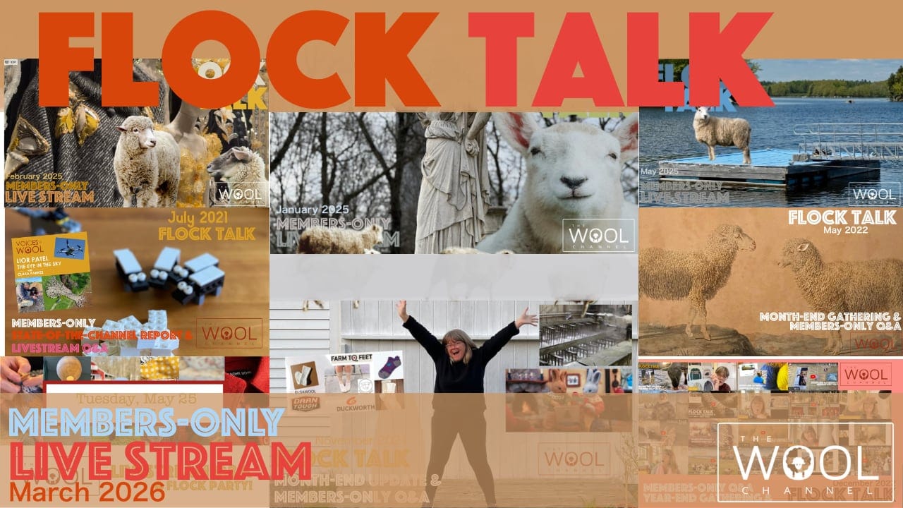 Missed Flock Talk?