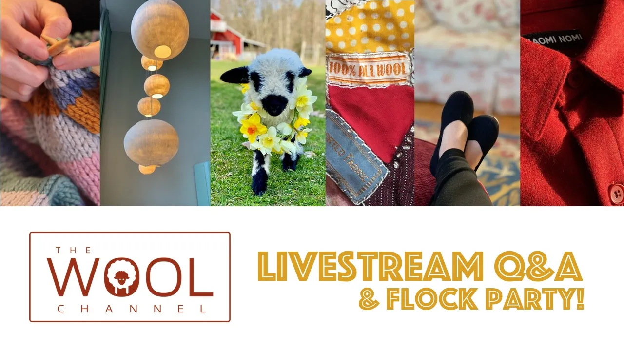 Time for Our First Flock-Talk Q&A Party!