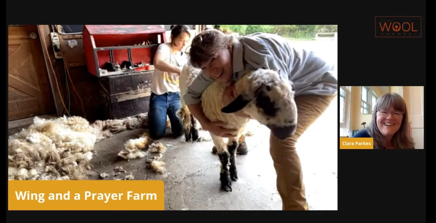 Jubilee Got a Haircut: Members-Only Live-Shearing at Wing and a Prayer Farm