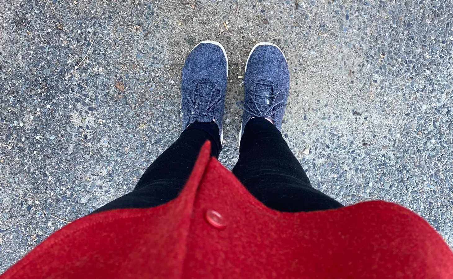 🐑 Hello, A Survey, and Our Next Flock Talk 🐑