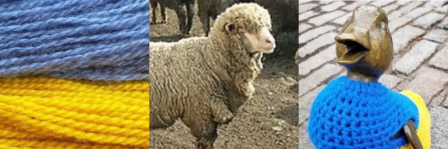 Talking Wool and the World