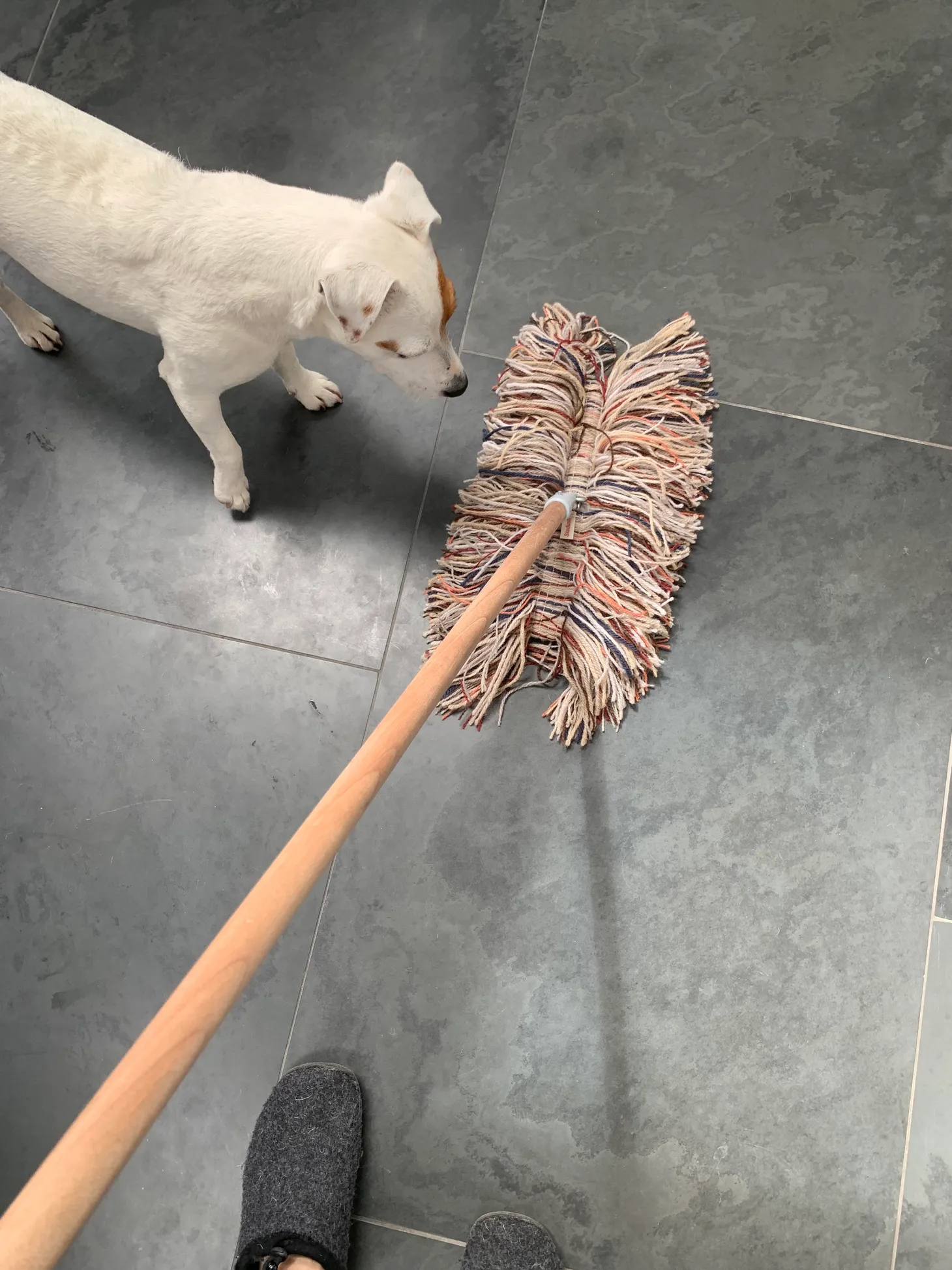 Walking the Floor Over Ewe: Wool Dust Mops