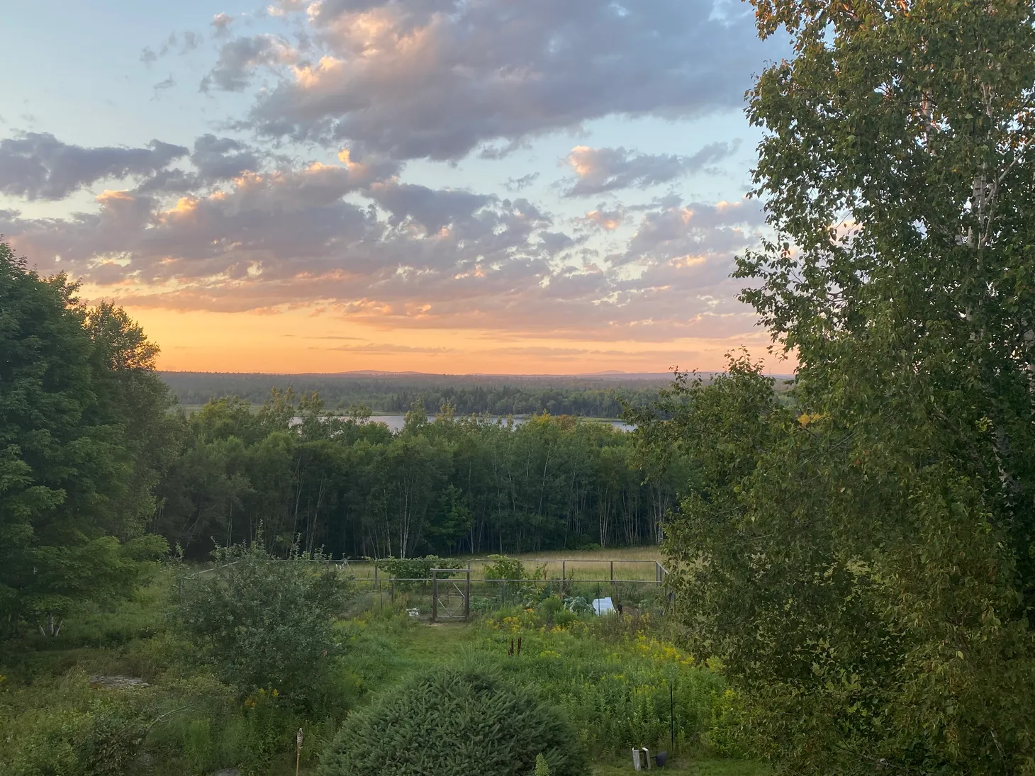 Flock Talk: Postponed