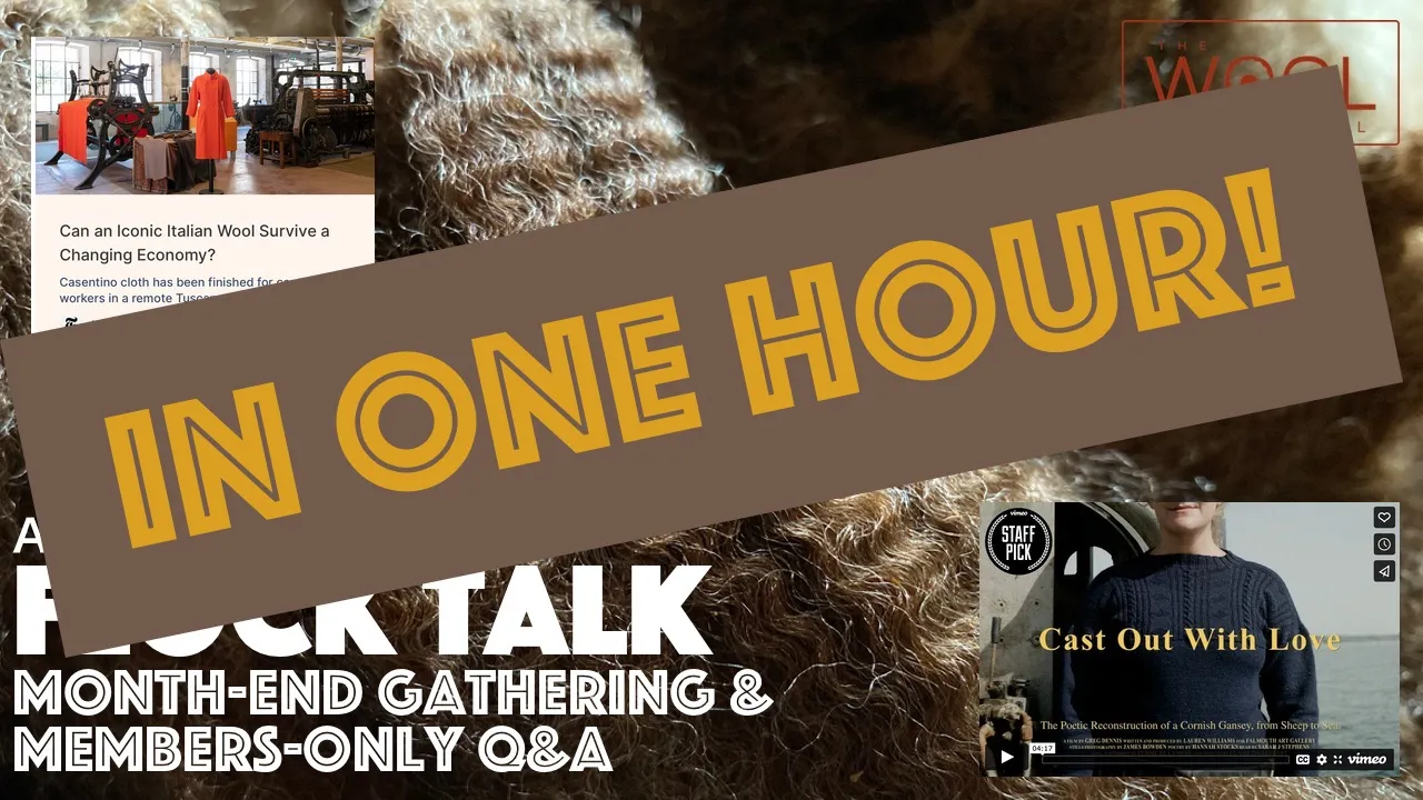 🐑 Flock Talk in One Hour! 🐑