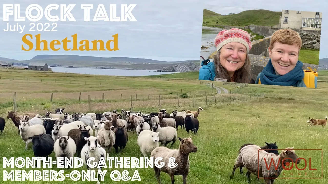 🐑 Flock Talk Starts in One Hour!🐑