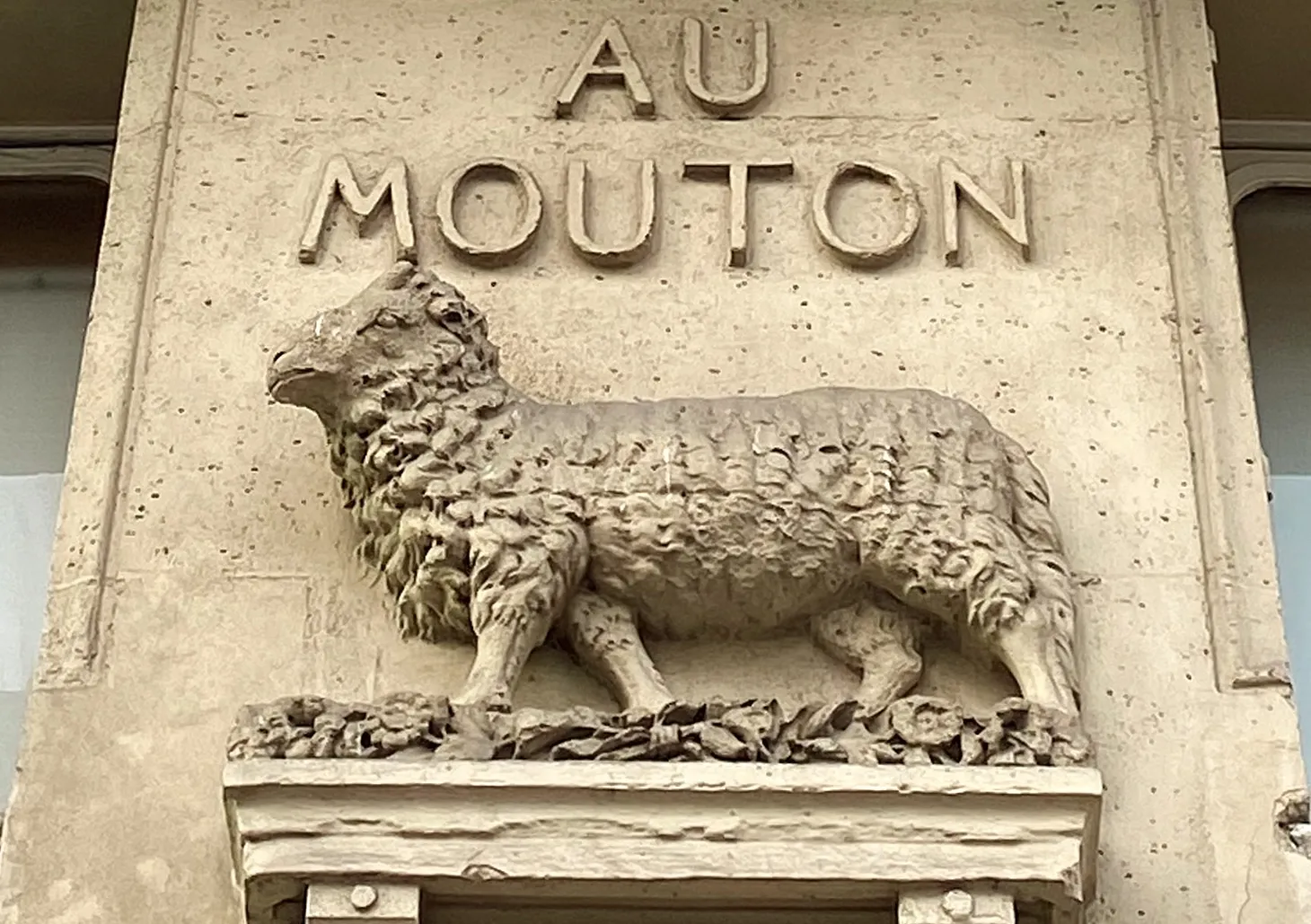 A New Sheep for your Phone