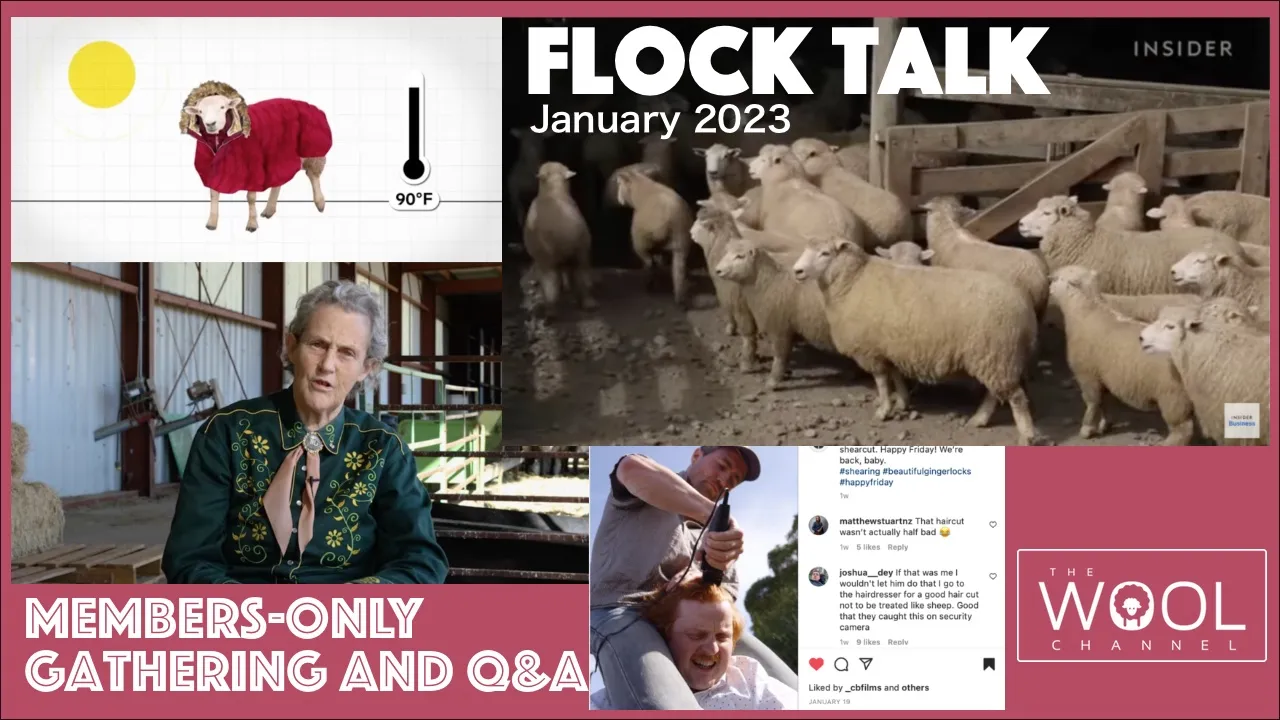 January 2023 Flock Talk