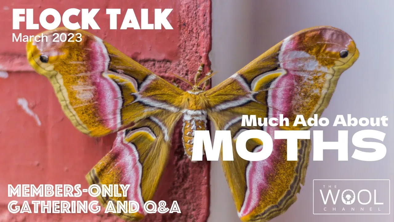 March Flock Talk This Friday!