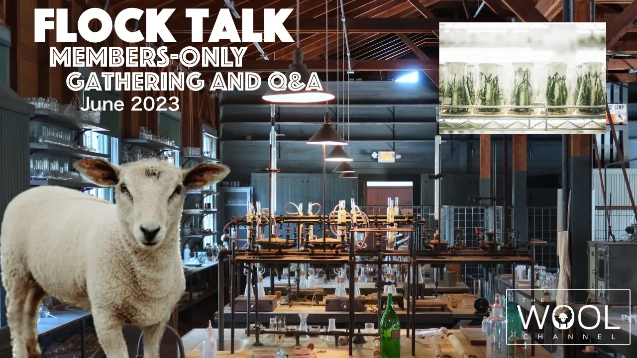 Flock Talk starts in one hour!