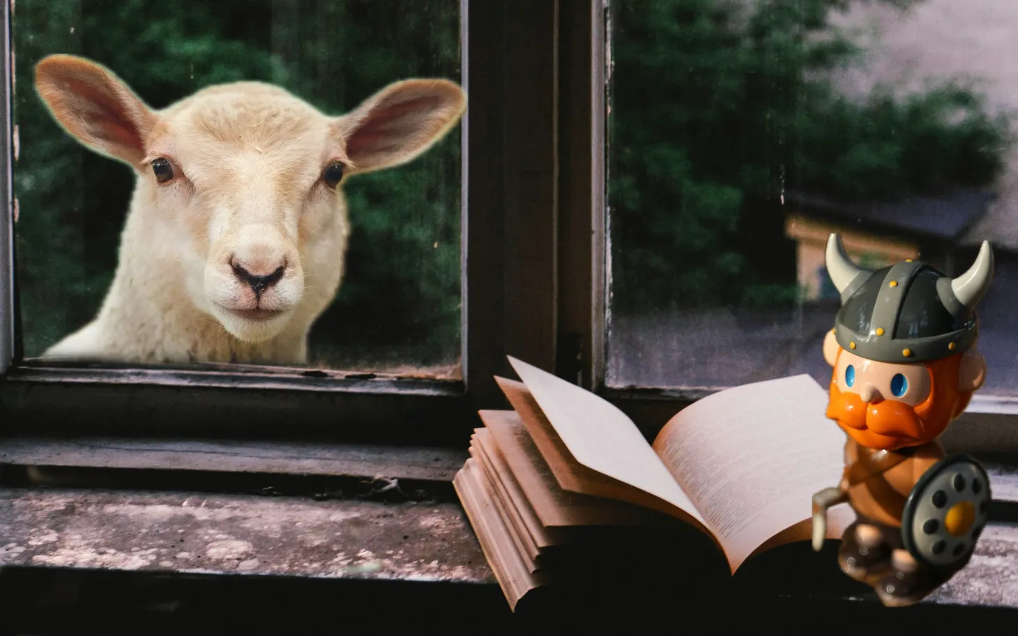 Next Book and New Quiz!