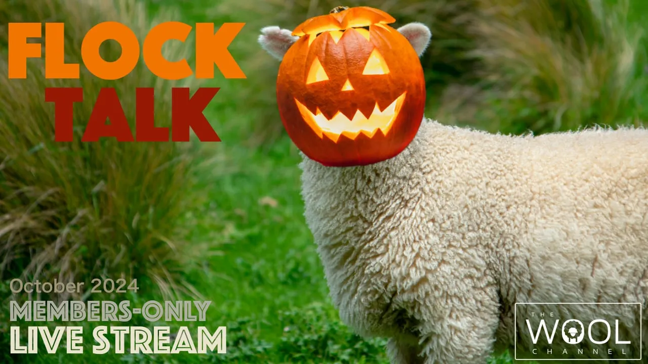 Flock Talk in One Hour!