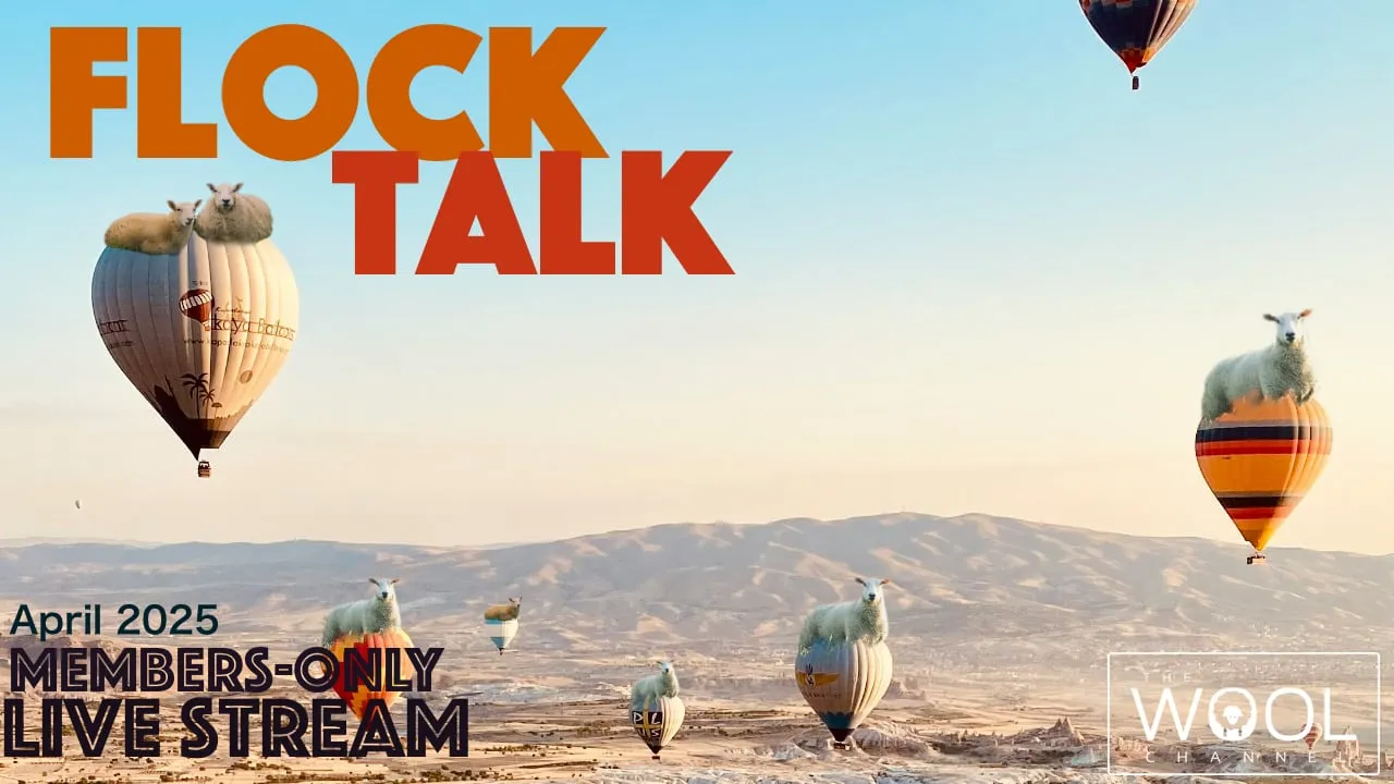 One hour until Flock Talk!