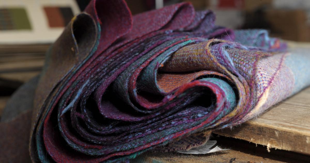 The Wool Wire | September 11, 2025