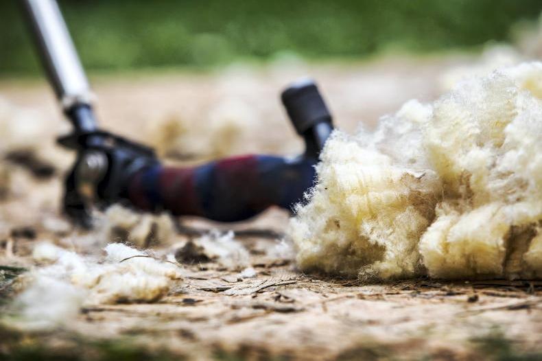 The Wool Wire | October 23, 2025