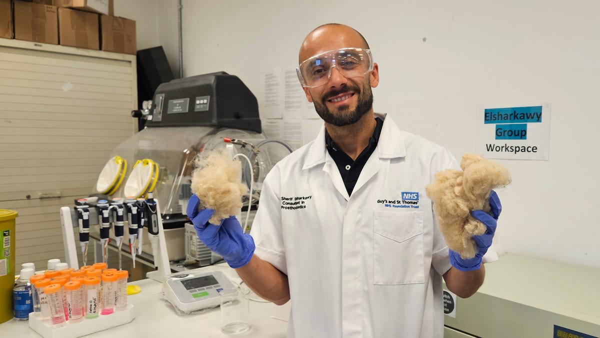 The Wool Wire | September 11, 2025