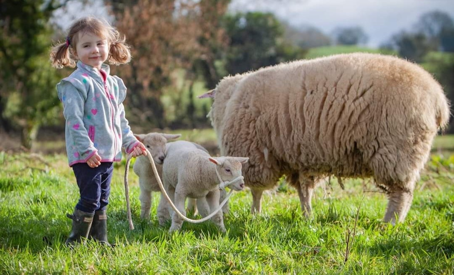 The Wool Wire | October 23, 2025