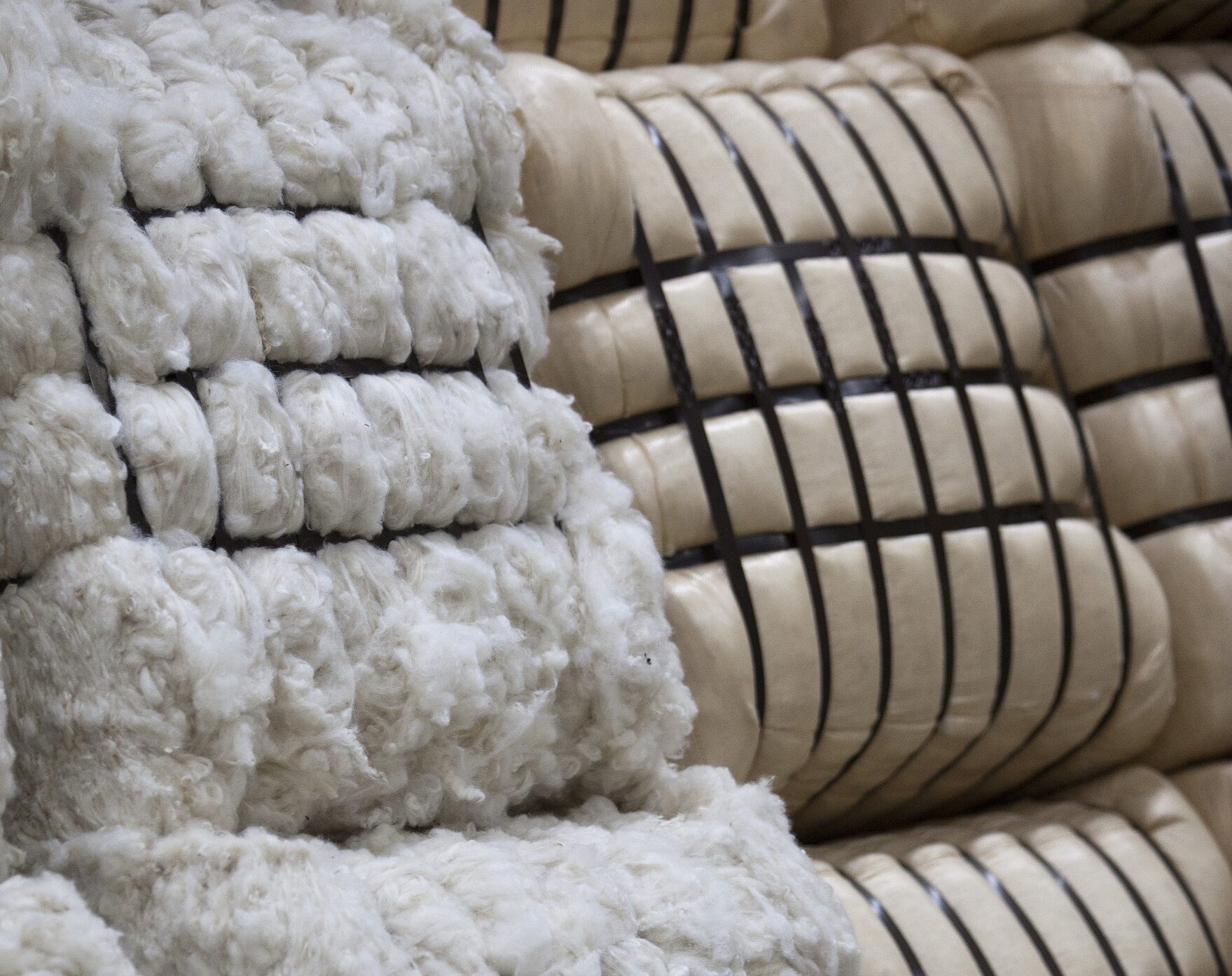 The Wool Wire | November 24, 2025