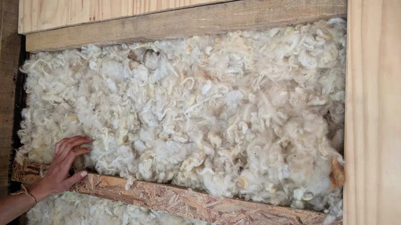 The Wool Wire | October 10, 2025