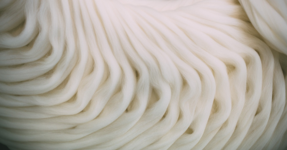 The Wool Wire | September 11, 2025