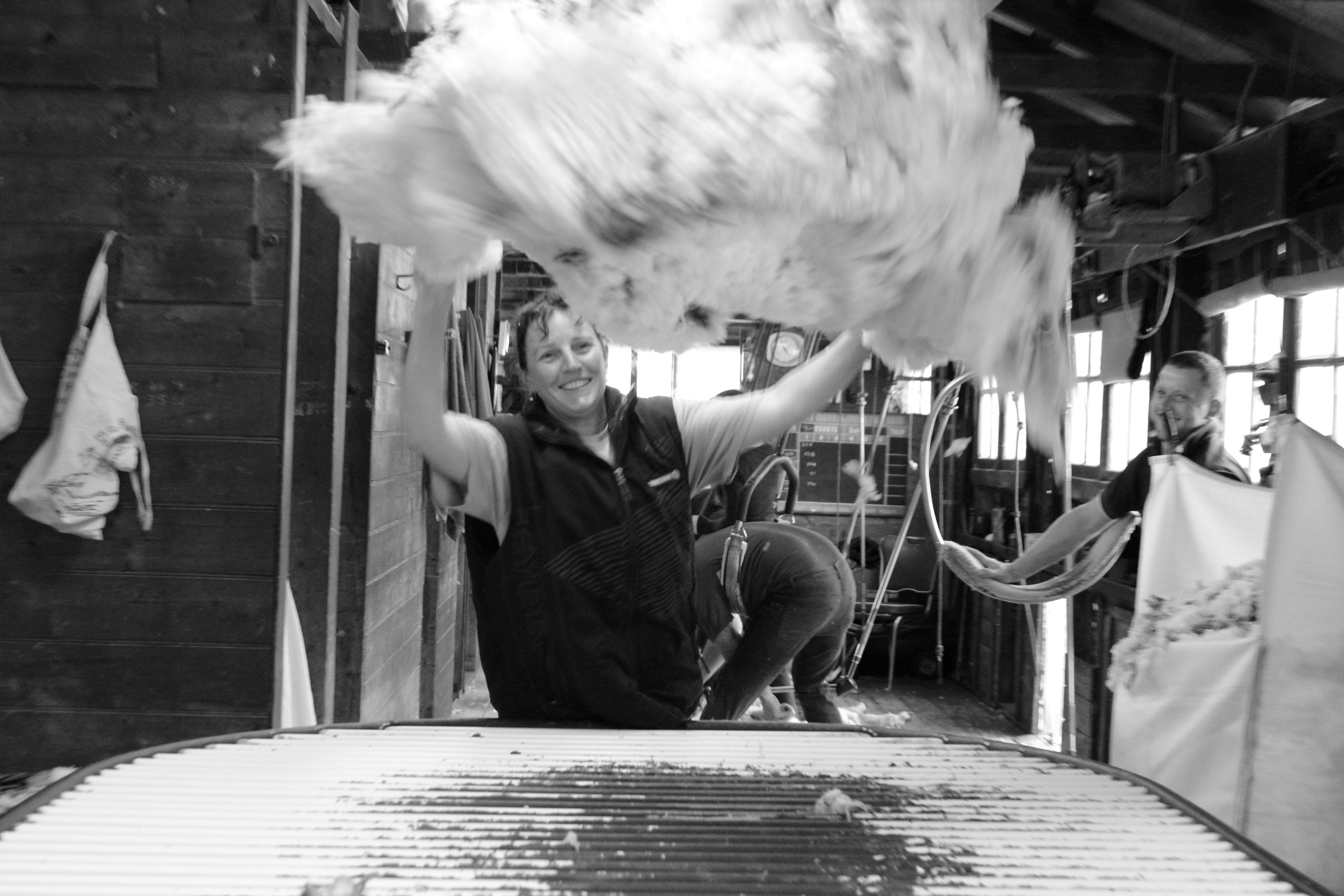 The Wool Wire | September 11, 2025