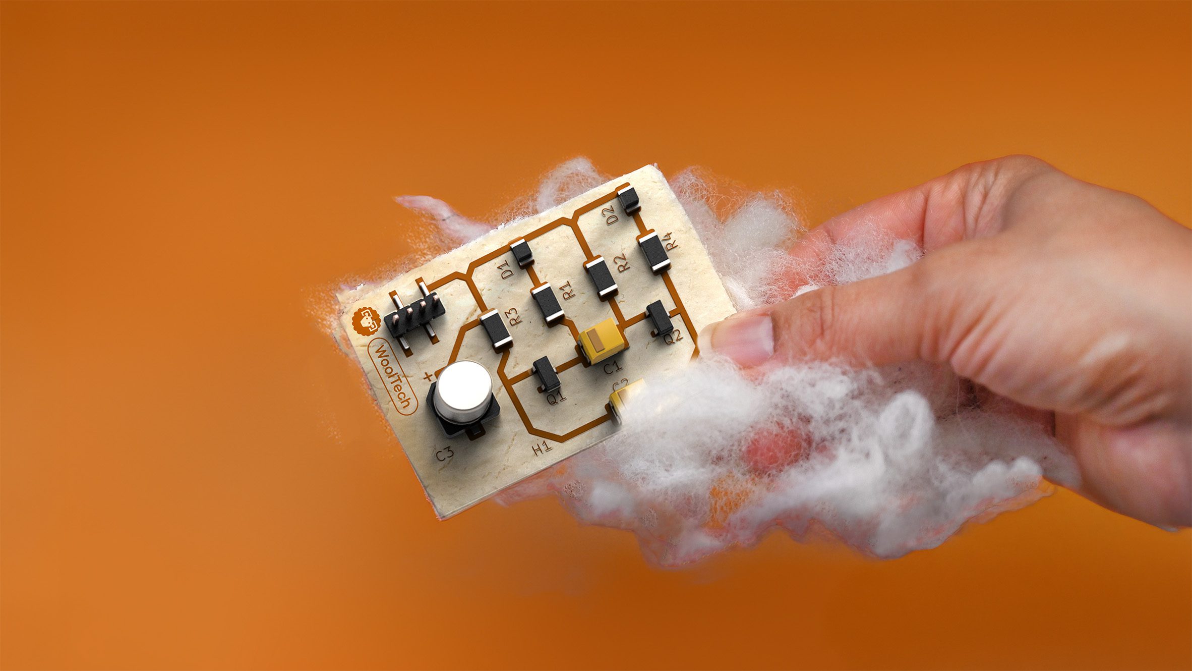 The Wool Wire | October 10, 2025